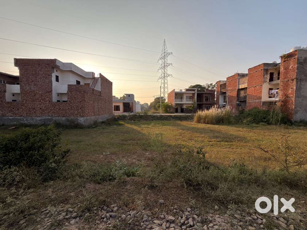 115 Gaj Plot in Sector 115 For Sale