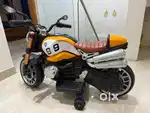 Mini bullet