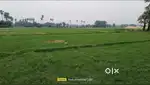आप के अपने शहर ग्रेटेर पटना बिहटा में प्लॉट खरीदें