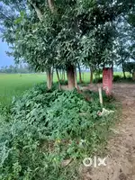 Single owner