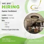 Junior Architect