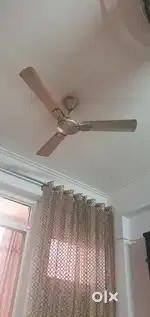 Havells Ceiling fan