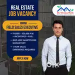 Real Estate Sales Executive