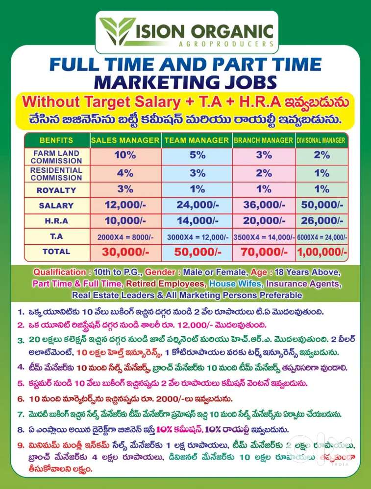 Branch manager (without Target job)