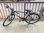Sport bicycle