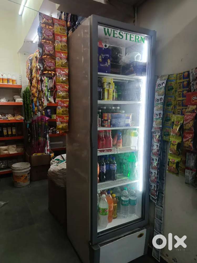 Western visi cooler for grocery stores