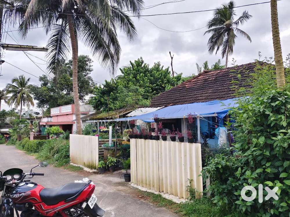 3 Cent Land 2 Bhk Old house for sale
