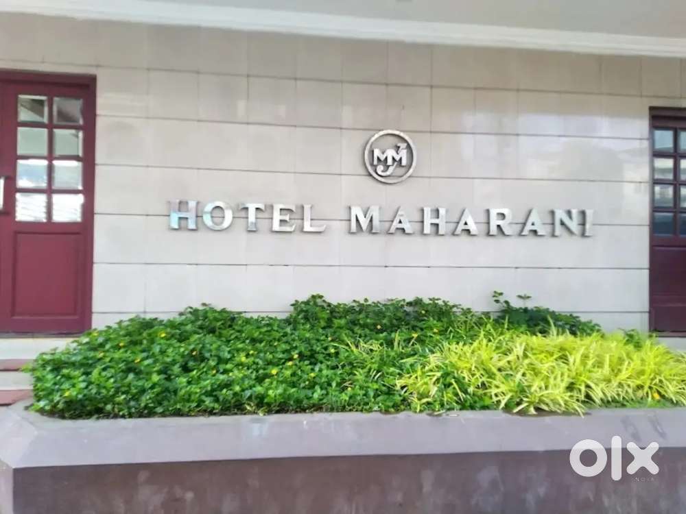 South indian Chinese chef