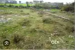 100 gaj plot bilaspur kaystan mohalla kasbza road
