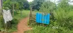 75 cents acre mango garden  and 100 red sandle trees