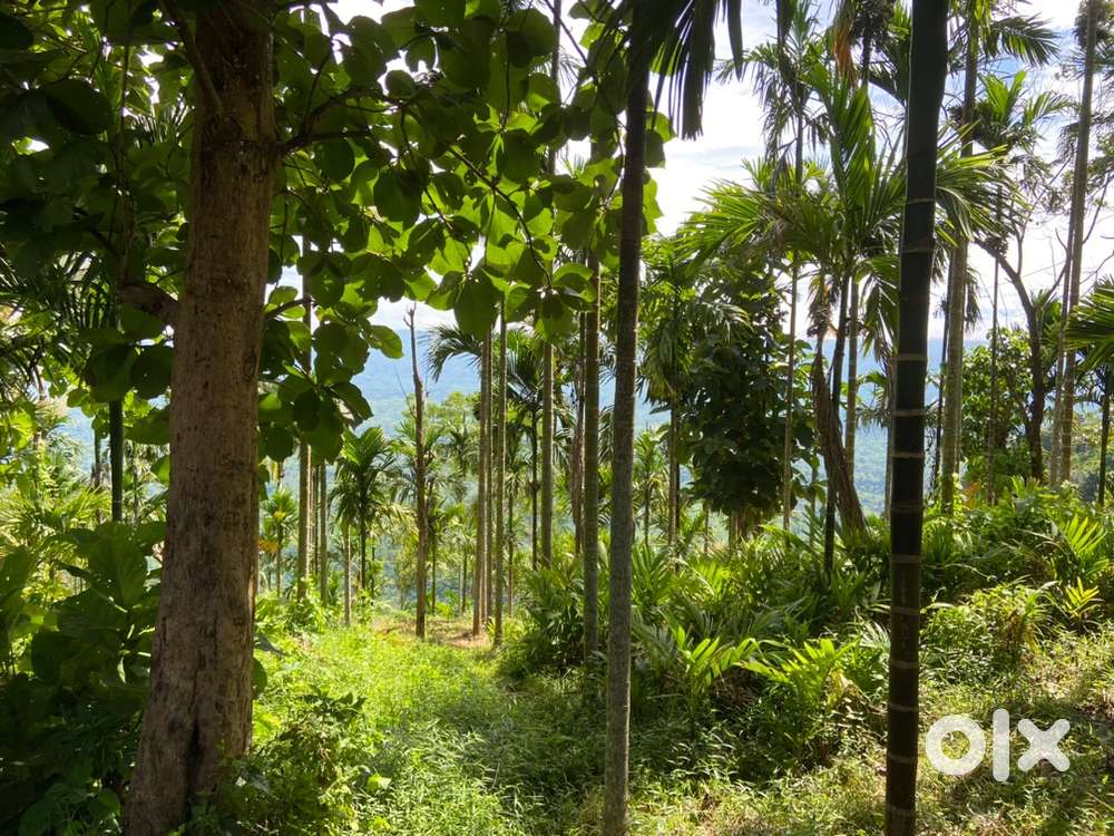 Plot and pond sale