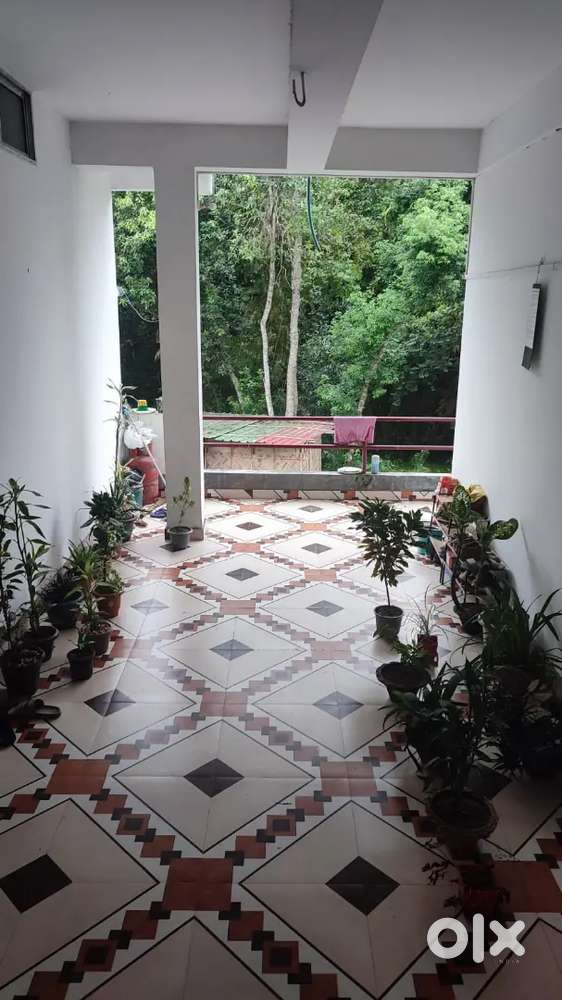 Rowriah pokmora tanali