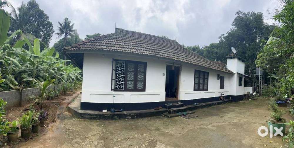 32cent house plot for sale at Perumbavoor