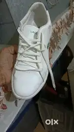 Lacoste original shoes size 9