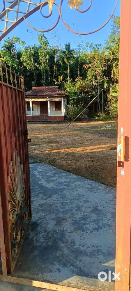 10 গন্ডা জায়গা বিক্রয় করা হবে