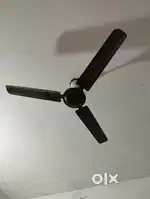 Fan ceiling fan 50w