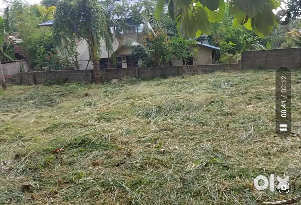 Residential Plot 12 cents [ 6 and 5 separate 300 mts from maruthankuz