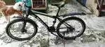 Brand new cycle
