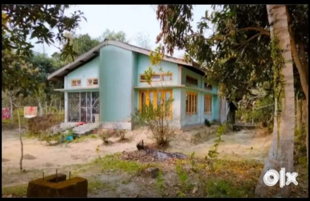 মিয়াদী পত্তাৰ আসাম টাইপৰ ঘৰ এটা বিক্ৰী কৰা হ'ব, জিলা: শিৱসাগৰ