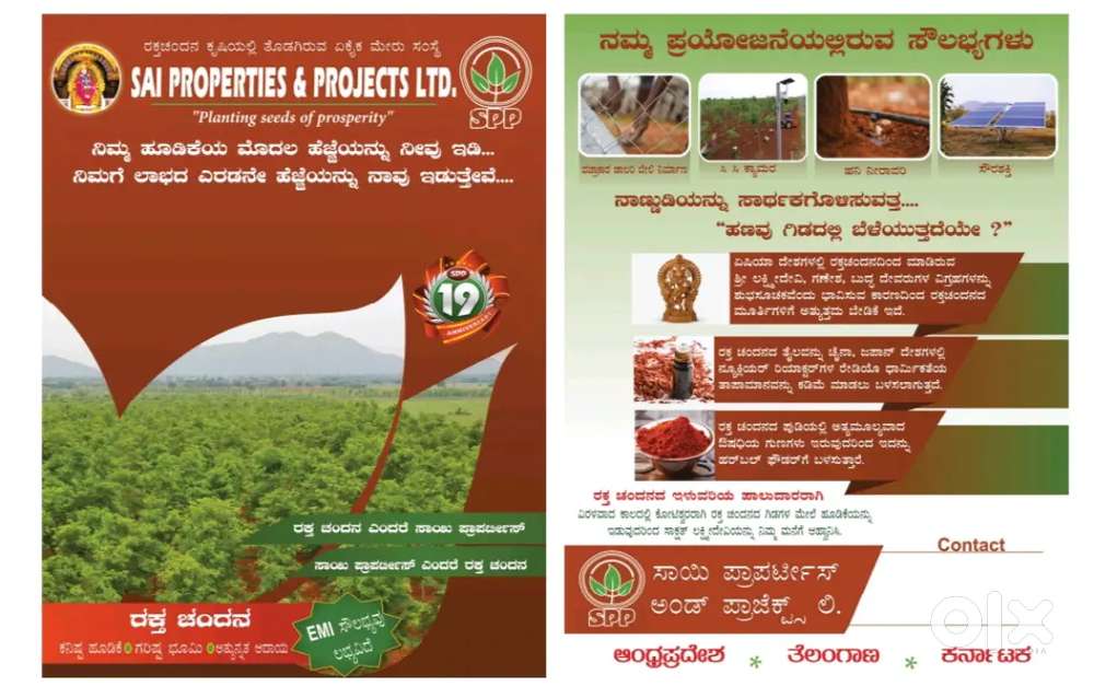 50cents Agriculture land for sale with Red sandal wood forming venture