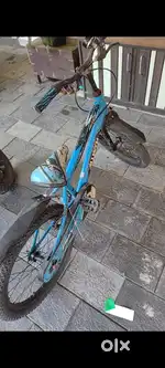 Alwyn Cycle