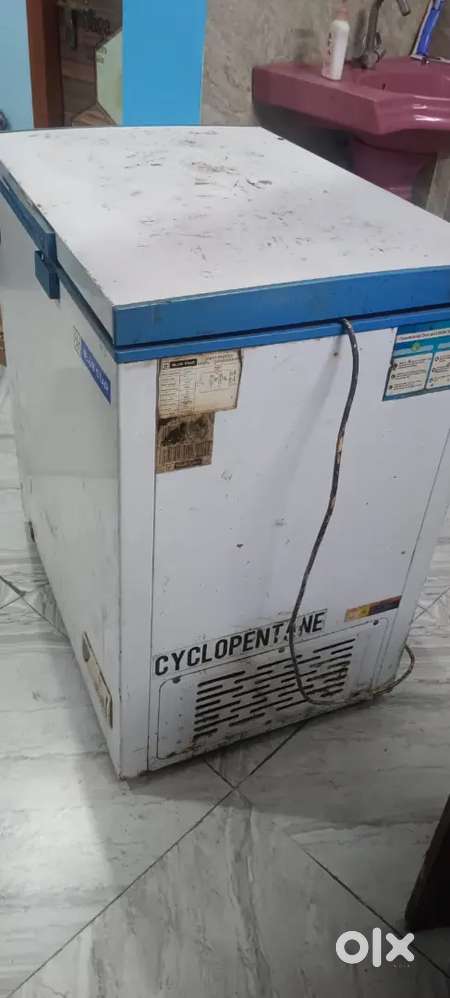 Blue star Deep Freezer