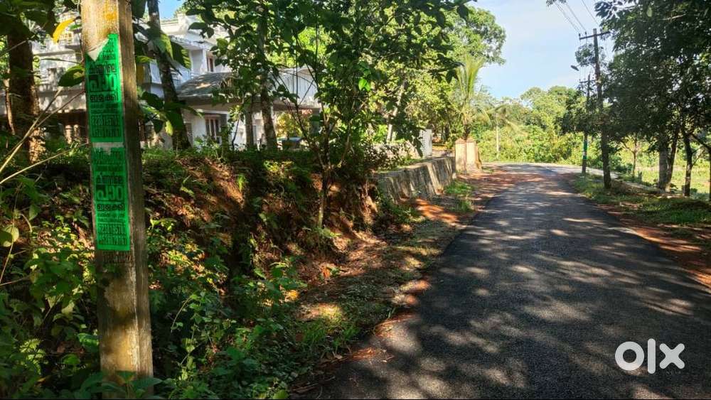 60 cent land for sale at parakkara Thattayil Adoor