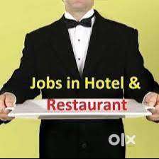 Kitchen Chef/Cook - Male Only (Tandoor/Continental/South Indian/ Pizza