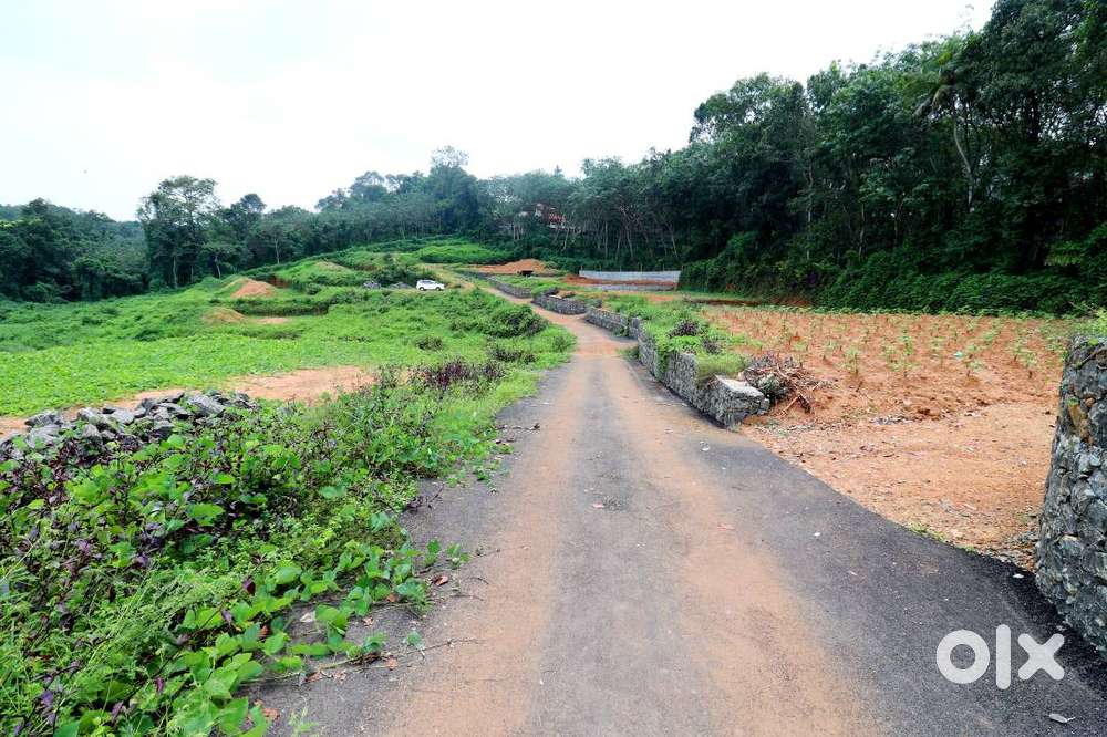 Premium Lands at  manarucardu angadiveli, Kottayam