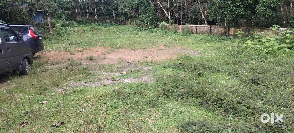 ഏറ്റുമാനൂർ പേരൂർ ബൈപാസ് റോഡിൽ നിന്നും 300 mtr ദൂരത്തിൽ 10 സെന്റ്