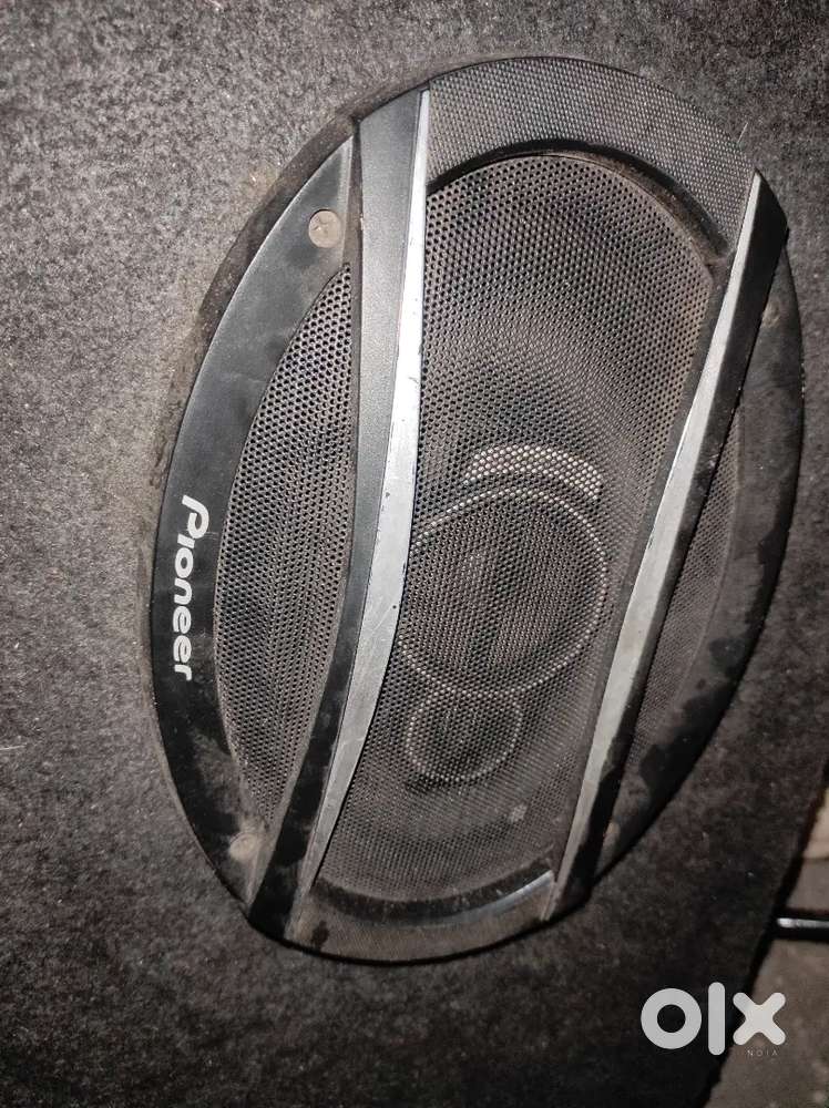 Vocal speaker