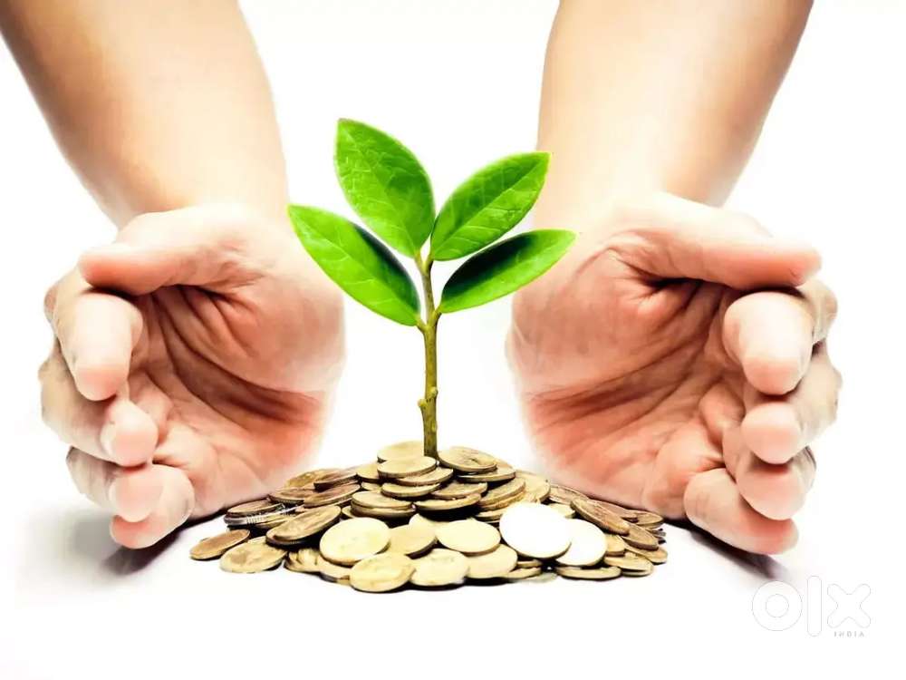 Earn attractive monthly income