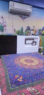 Pg/guest house/roommate/ home stay