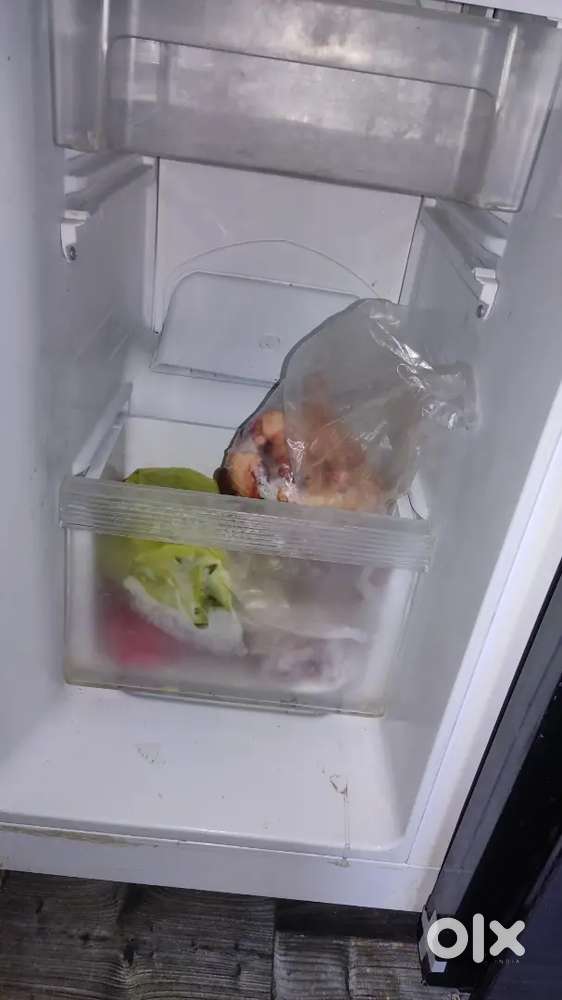 Lloyd fridge
