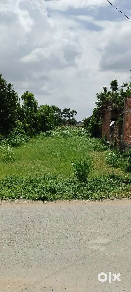 Plot in Mabbi Belauna