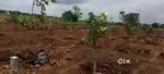 Farm land for sale