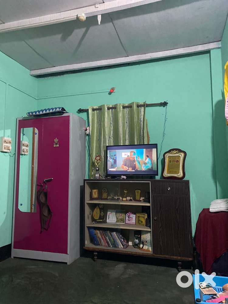 Need a female room mate