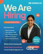 Sales Executive