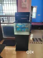 Imported Fish Tank with Stand – Motor, Filter & Light – Excellent Con