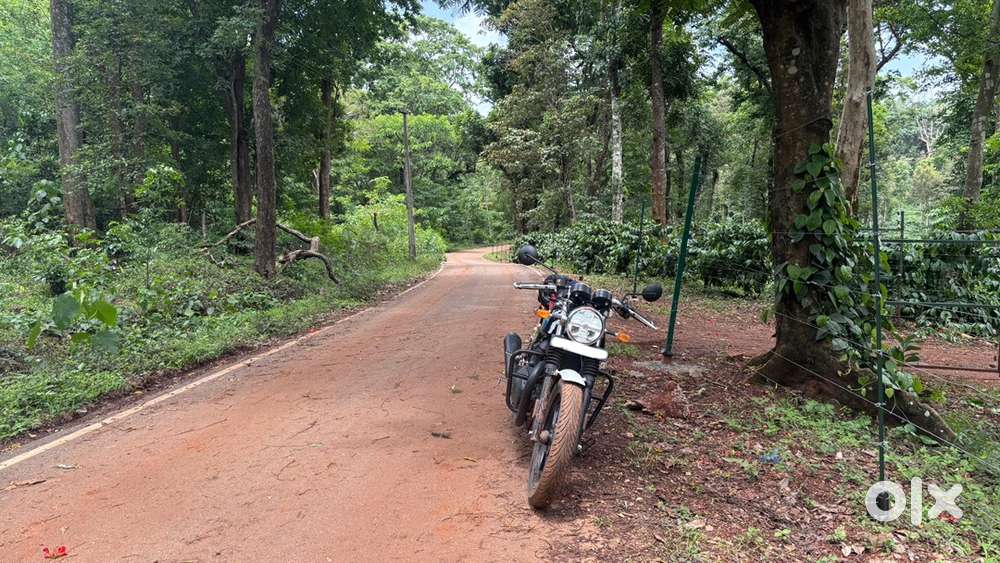 Royal Enfield GT650 Slipstream blue
