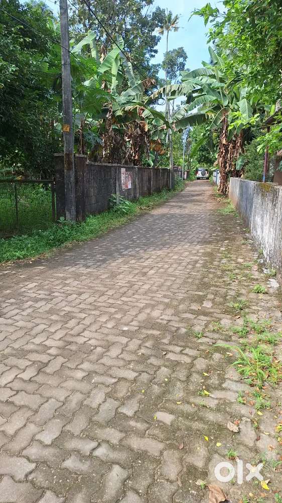 16 Cent Residential Land for Sale Aluva Companypadi