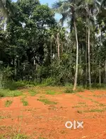 വീട്/ക്വാർട്ടേഴ്‌സ് വെക്കാൻ അനിയോജ്യമായ സ്ഥലം വില്പനക്ക്