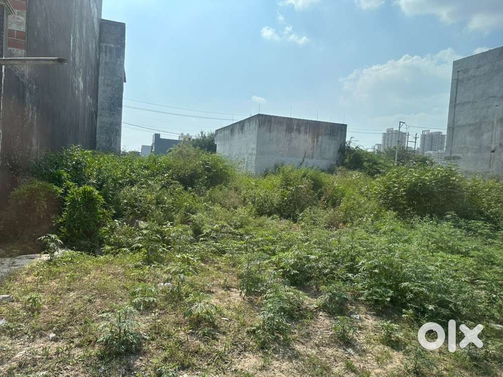 Sector 113 horizon green ville