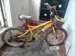 Cycle for 9 years