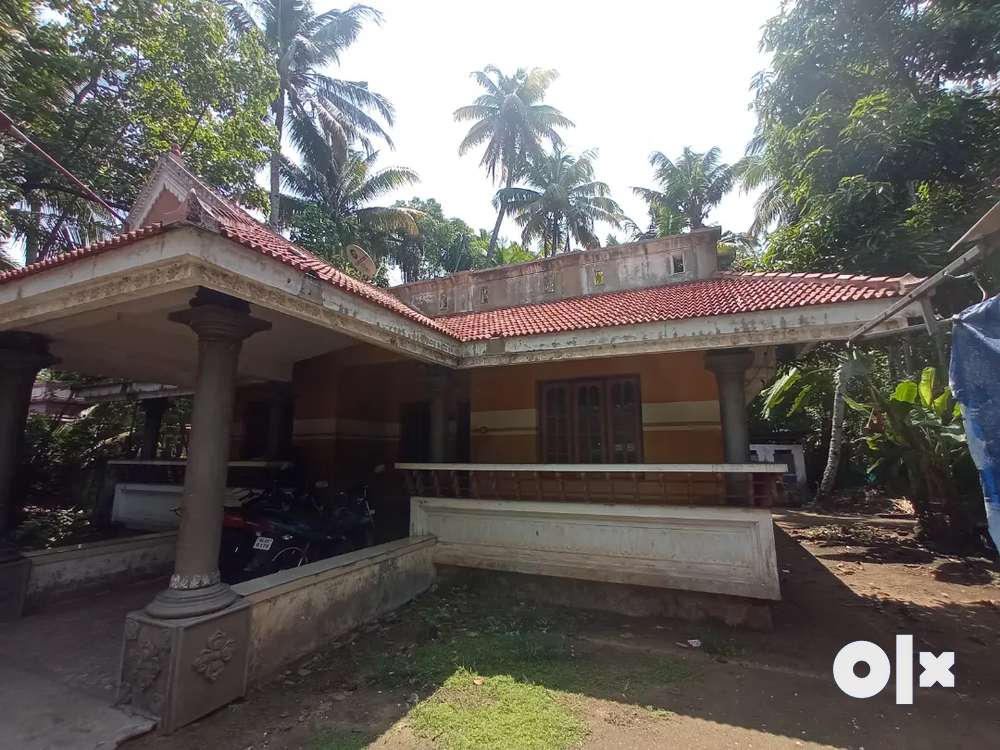 This property & home is just 100 meter away from national highway