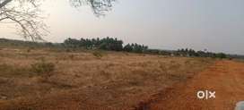 3.35 Acres Agri land for sale at Padiur, Tiruppur - Kangayam Road