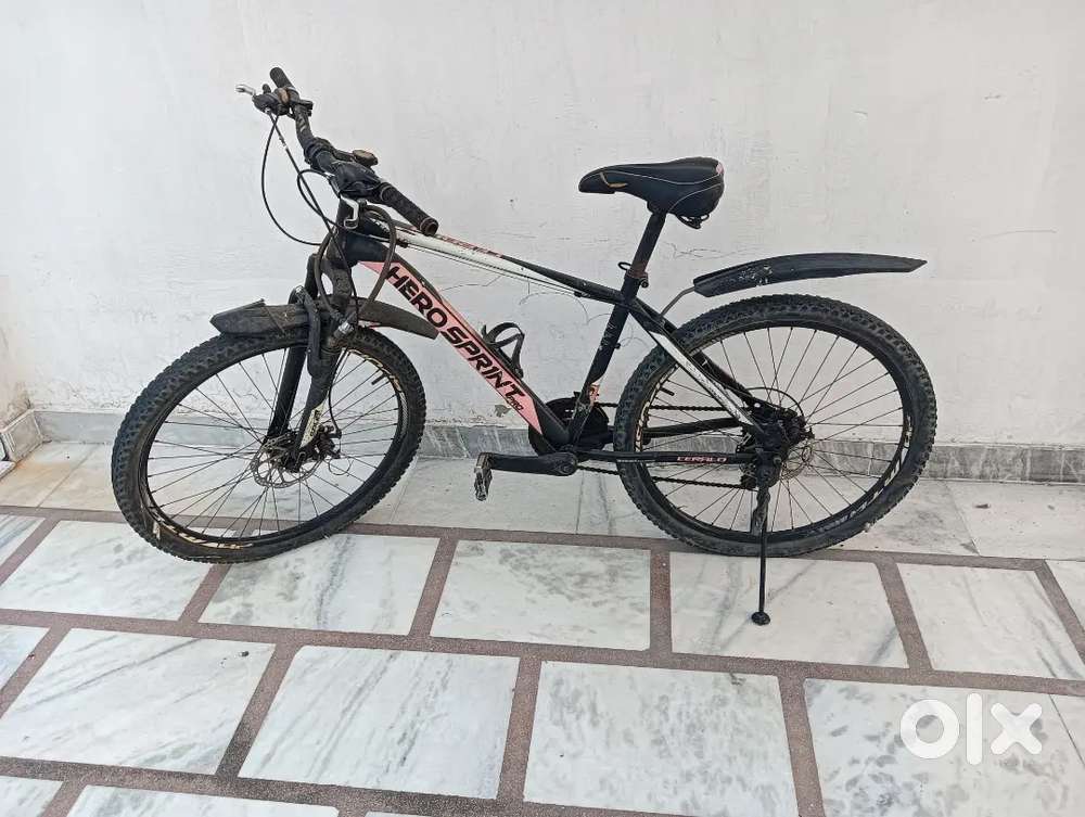 Gear bicycle