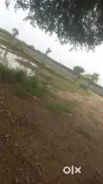 Plot For Sale Near Yamuna Expressway Sector 17b Tiranga Chowk Dankaur