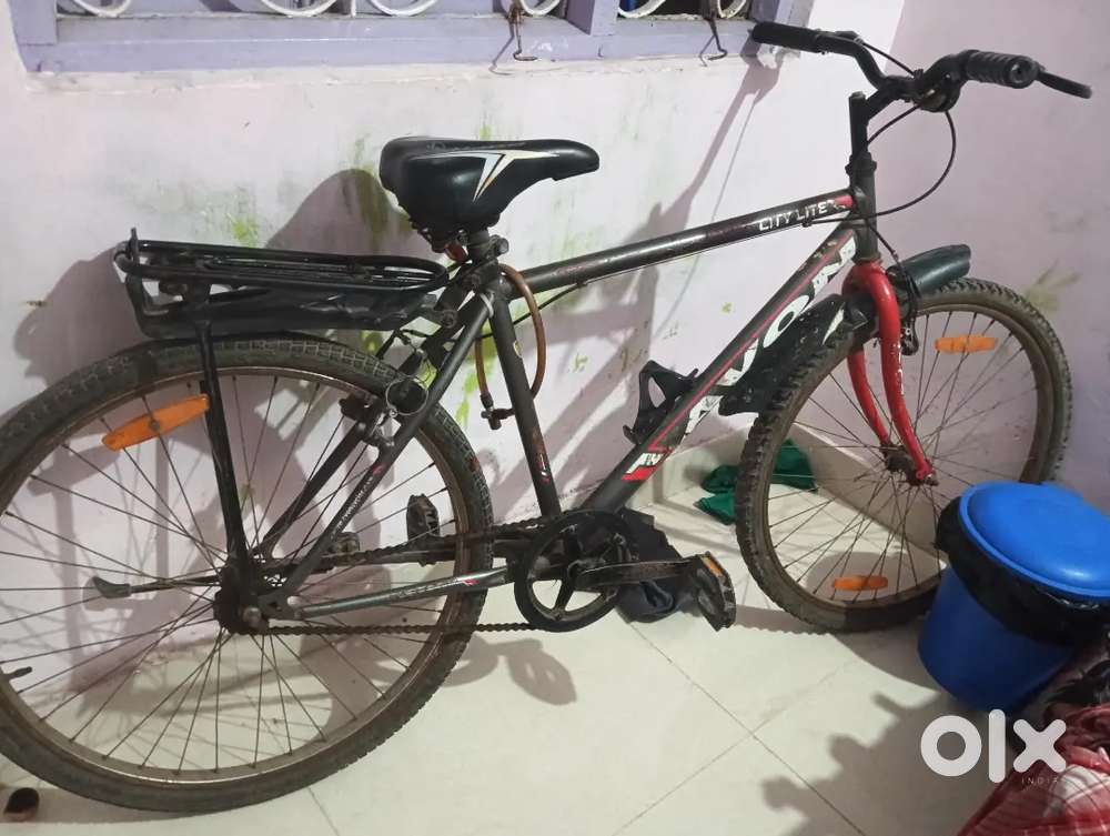 Avon cycle