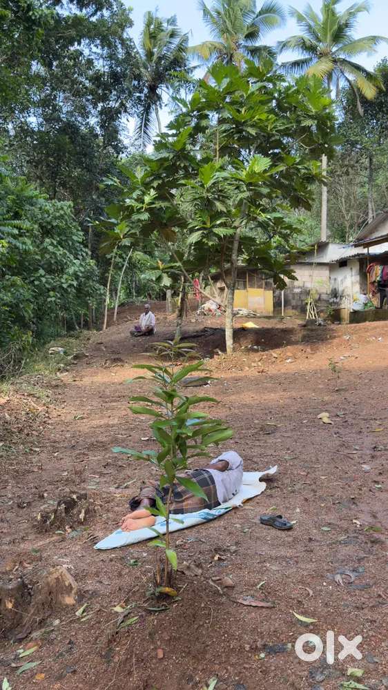 20 cent lorry site urgent sale